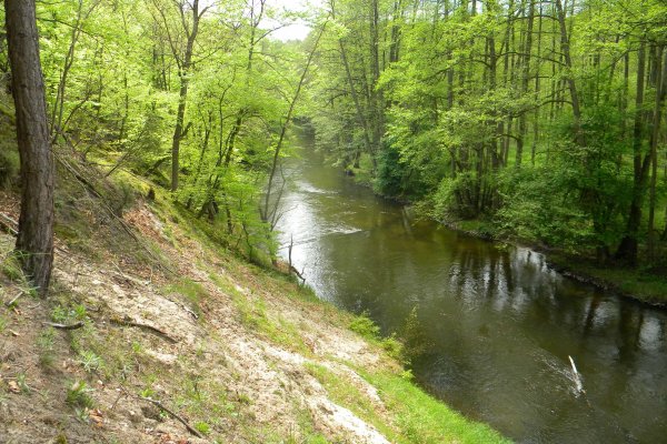 DSCN3279.JPG